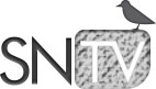 SNTV Logo